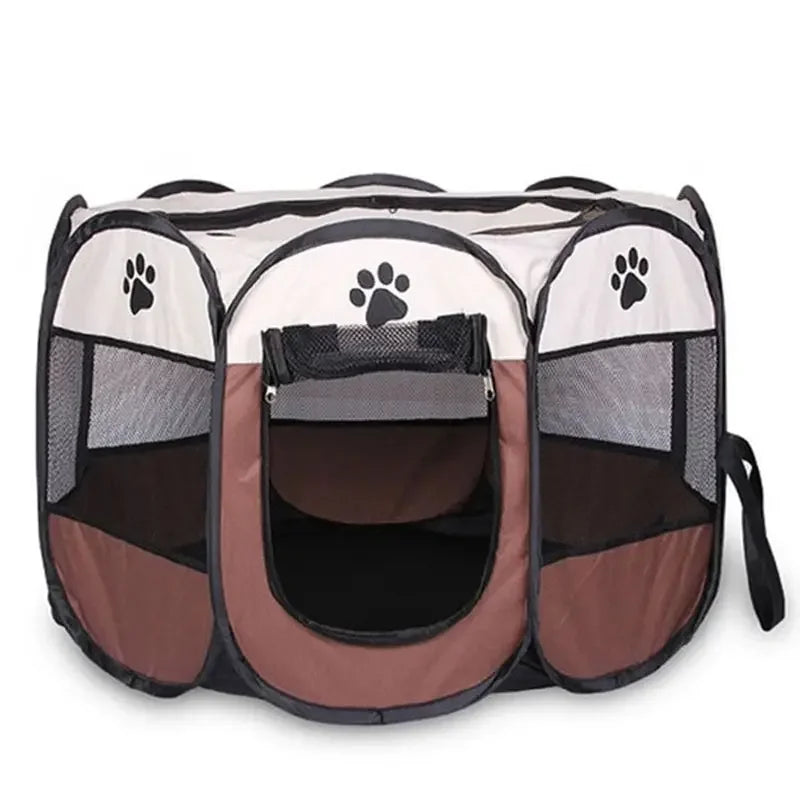 Dog & Cat Accessories & Care – Essentials for Happy Pets