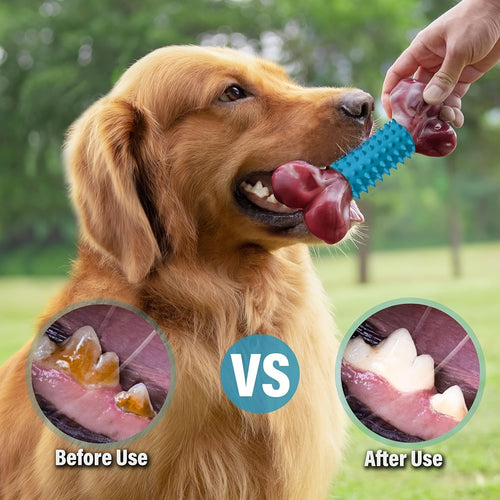 Jouets à mâcher pour chiens moyens - Mâcheurs agressifs et dentition SUN N.