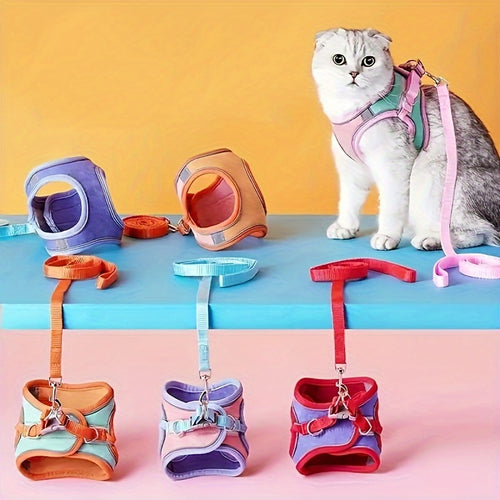 Harnais pour chat anti-évasion avec laisse réglable - Sécurité et confort pour promenades