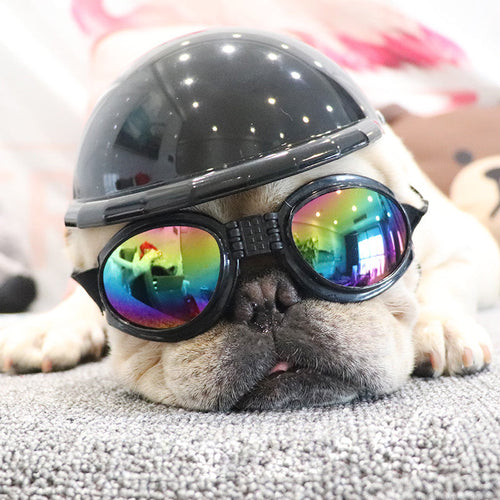 Lunettes de Soleil pour Animaux Élégantes, Durables et Pliables - Pour Chiens et Chats Accessoires pour Animaux SUN N.