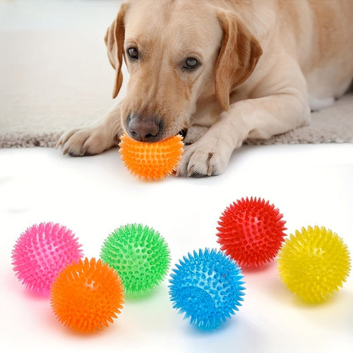 Lot de 2 balles épineuses avec couineur pour chiens - Jouet durable SUN N.