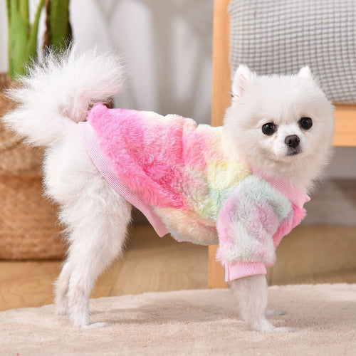 Vêtements pour chiot chien et chat Schnauzer, Teddy, Bichon, Pomeranian - Sweat-shirt automne/hiver doublé chaud anti-perte de poils SUN N.