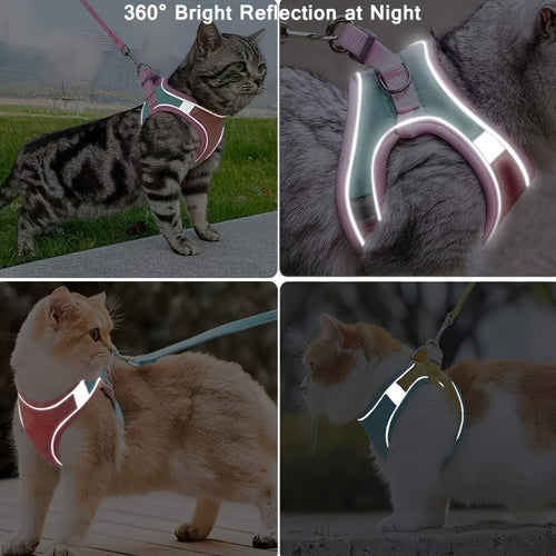 Harnais pour chat anti-évasion avec laisse réglable - Sécurité et confort pour promenades