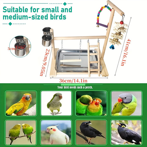 Stand de jeu pour perroquet en bois - Balançoire et jouets interactifs SUN N.