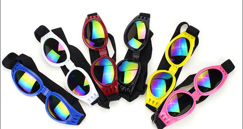 Lunettes de Soleil pour Animaux Élégantes, Durables et Pliables - Pour Chiens et Chats Accessoires pour Animaux SUN N.