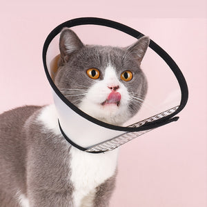 Elizabeth collar for cats and dogs anti licking and anti biting