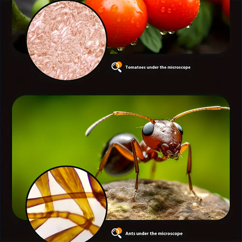 Microscope portable pour enfants - Zoom 60X-200X avec lumière LED SUN N.