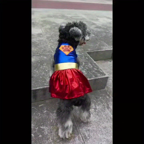 Costume de super-héros pour chien avec cape - Bleu et rouge pour petites races SUN N.