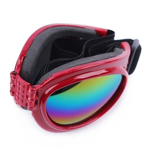 Lunettes de Soleil pour Animaux Élégantes, Durables et Pliables - Pour Chiens et Chats Accessoires pour Animaux SUN N.