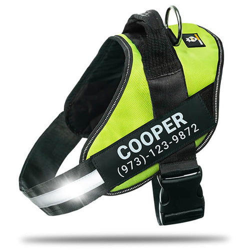 Harnais pour chien personnalisé anti-traction avec écusson de nom, réglable, réfléchissant, rembourré, gilet pour animal robuste pour prévenir les tiraillements, tractions ou étouffements, pour l'entraînement et la promenade, bleu, M SUN N.