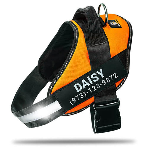 Harnais pour chien personnalisé anti-traction avec écusson de nom, réglable, réfléchissant, rembourré, gilet pour animal robuste pour prévenir les tiraillements, tractions ou étouffements, pour l'entraînement et la promenade, bleu, M SUN N.