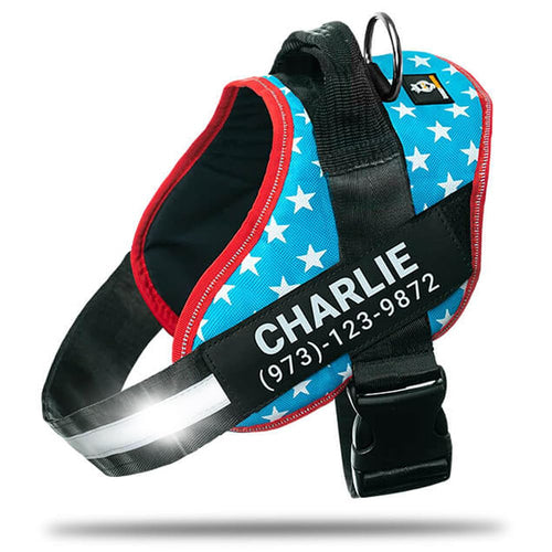 Harnais pour chien personnalisé anti-traction avec écusson de nom, réglable, réfléchissant, rembourré, gilet pour animal robuste pour prévenir les tiraillements, tractions ou étouffements, pour l'entraînement et la promenade, bleu, M SUN N.
