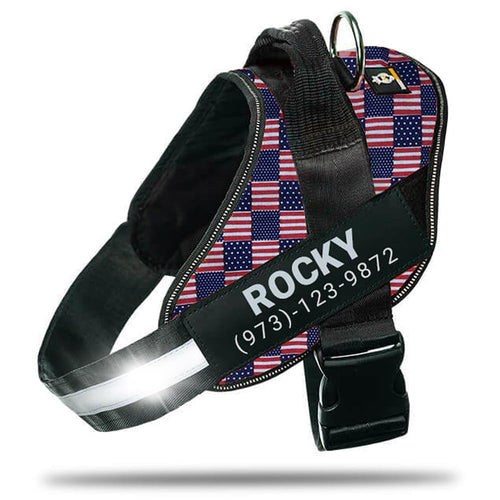 Harnais pour chien personnalisé anti-traction avec écusson de nom, réglable, réfléchissant, rembourré, gilet pour animal robuste pour prévenir les tiraillements, tractions ou étouffements, pour l'entraînement et la promenade, bleu, M SUN N.