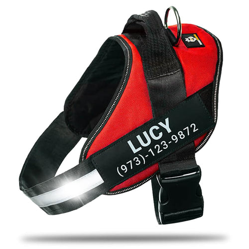 Harnais pour chien personnalisé anti-traction avec écusson de nom, réglable, réfléchissant, rembourré, gilet pour animal robuste pour prévenir les tiraillements, tractions ou étouffements, pour l'entraînement et la promenade, bleu, M SUN N.