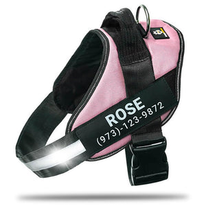 Harnais pour chien personnalisé anti-traction avec écusson de nom, réglable, réfléchissant, rembourré, gilet pour animal robuste pour prévenir les tiraillements, tractions ou étouffements, pour l'entraînement et la promenade, bleu, M SUN N.
