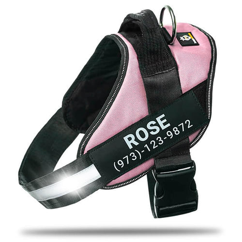 Harnais pour chien personnalisé anti-traction avec écusson de nom, réglable, réfléchissant, rembourré, gilet pour animal robuste pour prévenir les tiraillements, tractions ou étouffements, pour l'entraînement et la promenade, bleu, M SUN N.