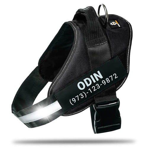 Harnais pour chien personnalisé anti-traction avec écusson de nom, réglable, réfléchissant, rembourré, gilet pour animal robuste pour prévenir les tiraillements, tractions ou étouffements, pour l'entraînement et la promenade, bleu, M SUN N.