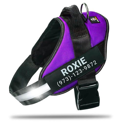 Harnais pour chien personnalisé anti-traction avec écusson de nom, réglable, réfléchissant, rembourré, gilet pour animal robuste pour prévenir les tiraillements, tractions ou étouffements, pour l'entraînement et la promenade, bleu, M SUN N.