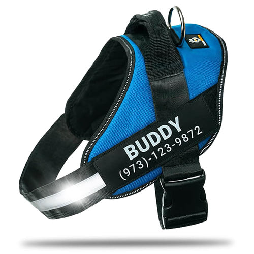 Harnais pour chien personnalisé anti-traction avec écusson de nom, réglable, réfléchissant, rembourré, gilet pour animal robuste pour prévenir les tiraillements, tractions ou étouffements, pour l'entraînement et la promenade, bleu, M SUN N.