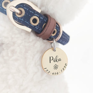Chats Chiens Étiquettes d'identification Personnalisées Jolis Symboles Collier pour Animaux Nom Accessoires Simples Gravés Sur Mesure Fournitures pour Petit Enfant à Quatre Pattes Collier Chaîne Anti-Perte Charme Brillant en Acier Inoxydable 316L SUN N.