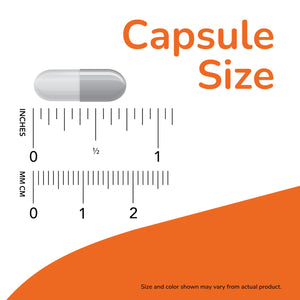 Compléments NOW Foods, Capsules de Cosses de Psyllium 500 mg, Vérifié par le Projet Non-OGM, Fibre Soluble Naturelle, Santé Intestinale*, 200 Capsules Végétales SUN N.