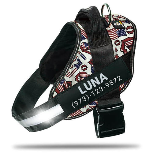 Harnais pour chien personnalisé anti-traction avec écusson de nom, réglable, réfléchissant, rembourré, gilet pour animal robuste pour prévenir les tiraillements, tractions ou étouffements, pour l'entraînement et la promenade, bleu, M SUN N.