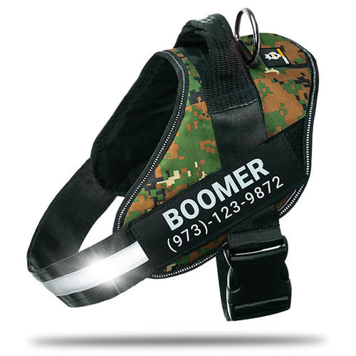 Harnais pour chien personnalisé anti-traction avec écusson de nom, réglable, réfléchissant, rembourré, gilet pour animal robuste pour prévenir les tiraillements, tractions ou étouffements, pour l'entraînement et la promenade, bleu, M SUN N.