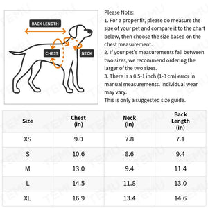 Vêtements pour chiot chien et chat Schnauzer, Teddy, Bichon, Pomeranian - Sweat-shirt automne/hiver doublé chaud anti-perte de poils SUN N.