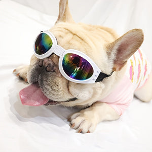 Lunettes de Soleil pour Animaux Élégantes, Durables et Pliables - Pour Chiens et Chats Accessoires pour Animaux SUN N.