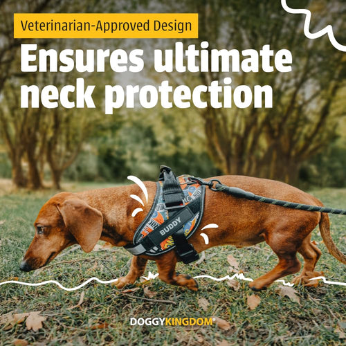 Harnais pour chien personnalisé anti-traction avec écusson de nom, réglable, réfléchissant, rembourré, gilet pour animal robuste pour prévenir les tiraillements, tractions ou étouffements, pour l'entraînement et la promenade, bleu, M SUN N.