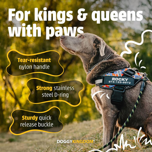 Harnais pour chien personnalisé anti-traction avec écusson de nom, réglable, réfléchissant, rembourré, gilet pour animal robuste pour prévenir les tiraillements, tractions ou étouffements, pour l'entraînement et la promenade, bleu, M SUN N.