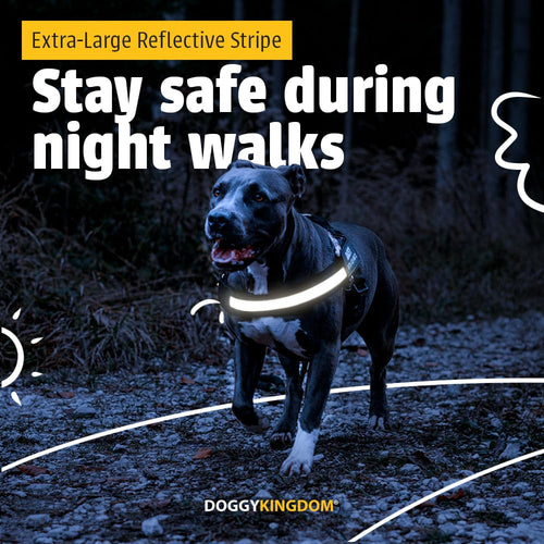 Harnais pour chien personnalisé anti-traction avec écusson de nom, réglable, réfléchissant, rembourré, gilet pour animal robuste pour prévenir les tiraillements, tractions ou étouffements, pour l'entraînement et la promenade, bleu, M SUN N.
