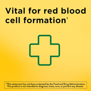 Comprimés Nature Made Fer 65 mg (325 mg Sulfate Ferreux), Suppléments de Fer, Supplément Alimentaire pour le Soutien des Globules Rouges, 180 Comprimés, Approvisionnement pour 180 Jours SUN N.