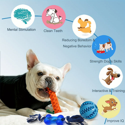 Lot de 17 jouets pour chiots - Jouets à mâcher et balle interactive SUN N.