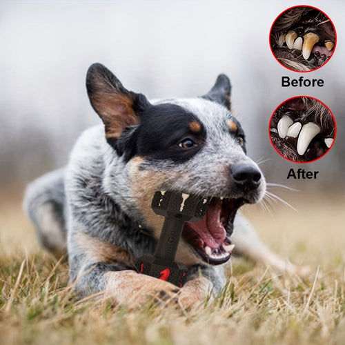 Jouets à mâcher indestructibles pour chiens mâcheurs agressifs SUN N.