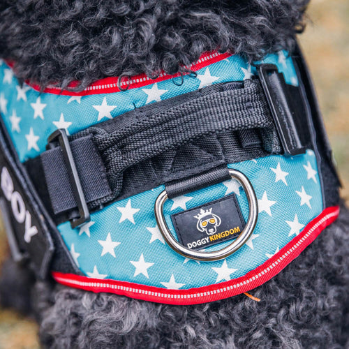 Harnais pour chien personnalisé anti-traction avec écusson de nom, réglable, réfléchissant, rembourré, gilet pour animal robuste pour prévenir les tiraillements, tractions ou étouffements, pour l'entraînement et la promenade, bleu, M SUN N.