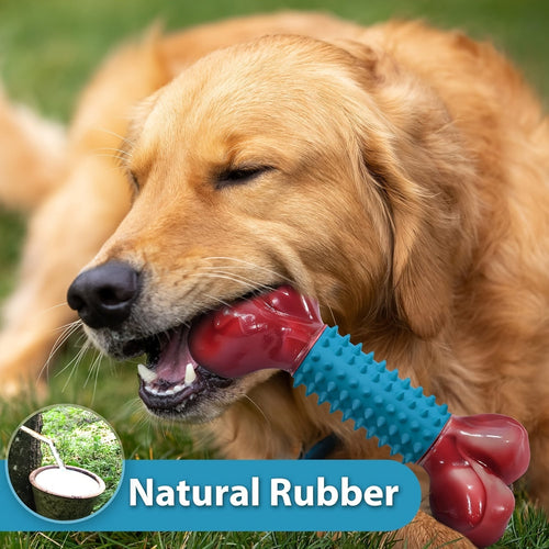 Jouets à mâcher pour chiens moyens - Mâcheurs agressifs et dentition SUN N.