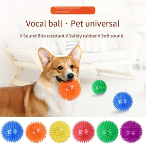 Lot de 2 balles épineuses avec couineur pour chiens - Jouet durable SUN N.