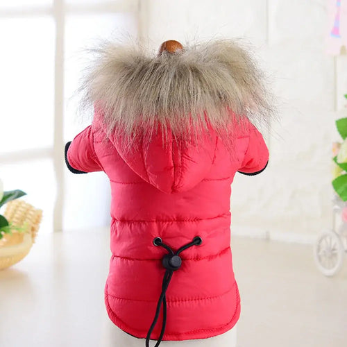 Manteau rembourré à capuche pour petit chien avec fourrure, idéal pour l'hiver et le confort.