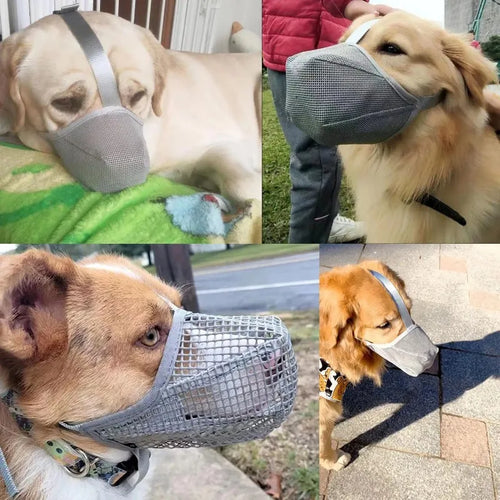 Muselière respirante en maille pour chiens, masque buccal réglable anti-aboiement et anti-morsure pour petits et moyens chiens, accessoires pour animaux de compagnie SUN N.