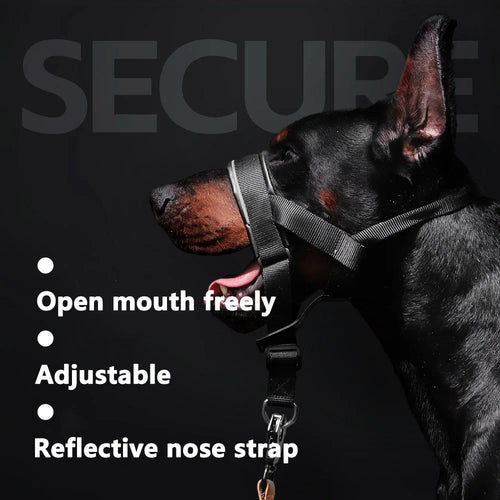 Muselières tactiques réfléchissantes pour chiens de taille moyenne et grande, avec laisse pour l'entraînement anti-aboiement, guide de laisse, couvre-mâchoire pour animaux de compagnie, accessoires pour grands chiens SUN N.