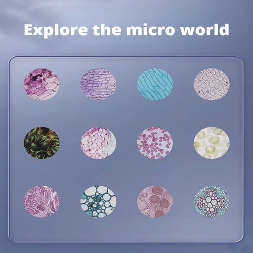 Nouveau : Explorez les merveilles de la science avec ce kit de microscope haute définition – Idéal pour les élèves du primaire ! SUN N.