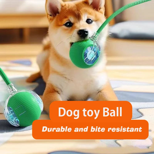 New Dog Interactive Ball Toy,Automatic Rolling Dog Ball Rechargeable,Smart Puppy Interactive Toy,Intelligent Balls Toy for Dogs SUN N.