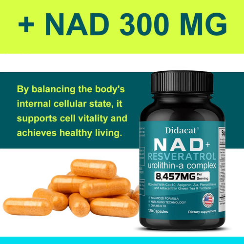 NAD + Resvératrol - Anti-âge, aide à stimuler l'énergie, favorise la santé des cellules et de la peau, la neuroprotection et l'amélioration du sommeil SUN N.