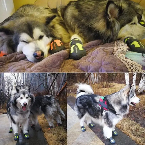 Chaussures d'extérieur pour chien – Imperméables, respirantes et résistantes à l'usure SUN N.