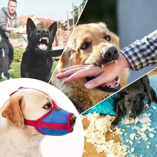 Muselière respirante réglable pour petit chien, couvre-bouche en maille souple, accessoires d'entraînement pour animaux de compagnie, empêche les morsures et les aboiements, Shiba Inu SUN N.