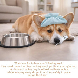 Bol anti-étouffement pour chien SUN N.