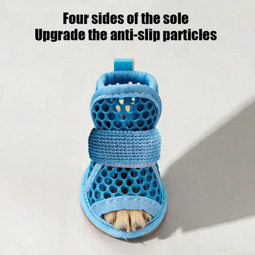 Sandales en maille pour chien fournissant confort et fraîcheur, antidérapantes et légères, idéales pour l'été.