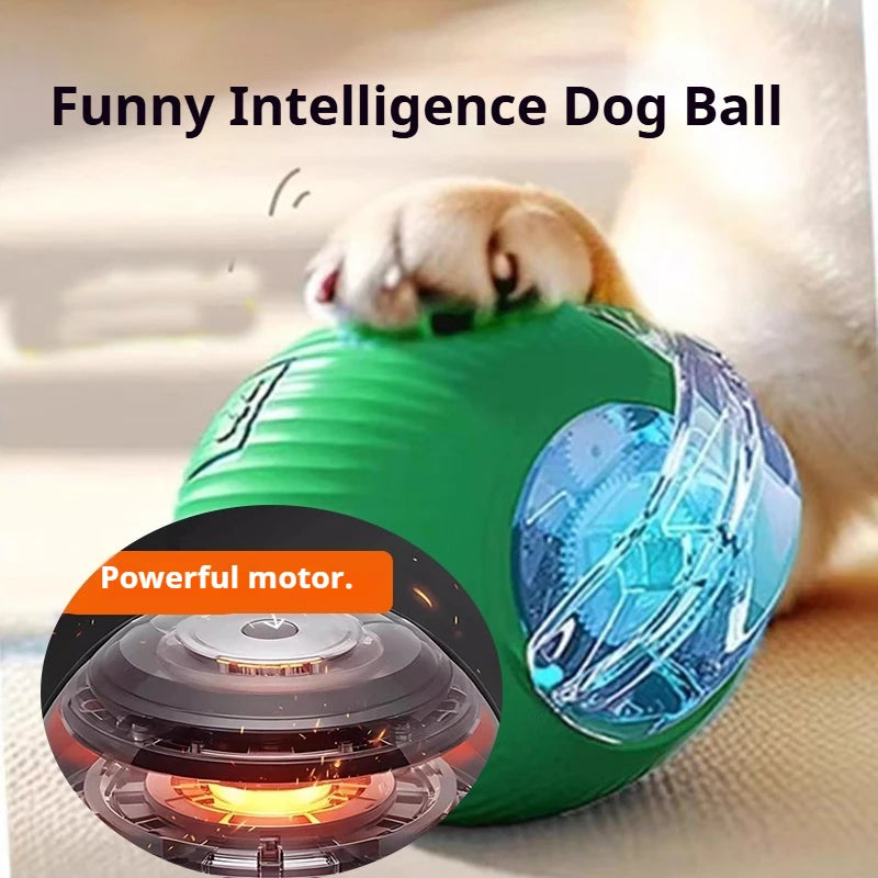 New Dog Interactive Ball Toy,Automatic Rolling Dog Ball Rechargeable,Smart Puppy Interactive Toy,Intelligent Balls Toy for Dogs SUN N.