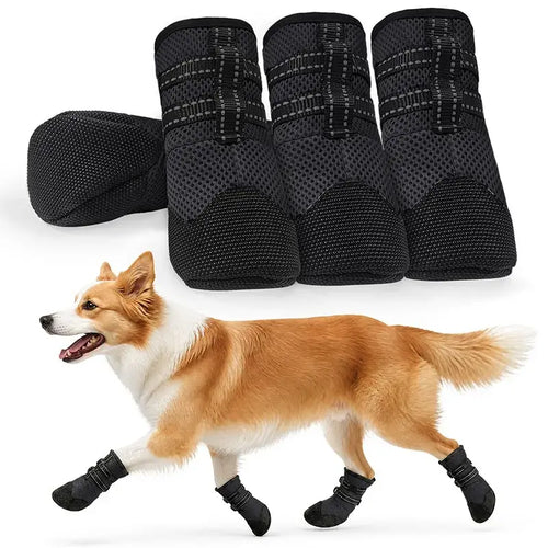 Bottes d'été pour chien – Antidérapantes, respirantes et résistantes à la chaleur SUN N.
